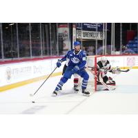 Syracuse Crunch centre Milo Roelens vs. the Utica Comets