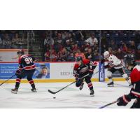 Saginaw Spirit right wing Nic Sima handles the puck against the Guelph Storm