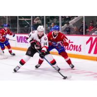 Belleville Senators' Scott Harrington and Laval Rocket's Will Dineen in action