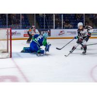 Swift Current Broncos' Joey Rocha and Vancouver Giants' Tyus Sparks in action