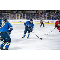 Springfield Thunderbirds forward Dalibor Dvorsky