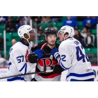 Belleville Senators and Toronto Marlies exchange pleasantries