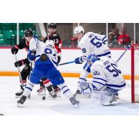 Belleville Senators look for a shot against the Toronto Marlies