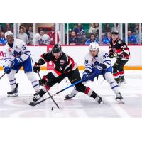 Belleville Senators centre Wyatt Bongiovanni against the Toronto Marlies
