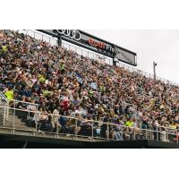 Washington Spirit fans at Audi Field