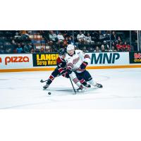 Saginaw Spirit battle the Oshawa Generals