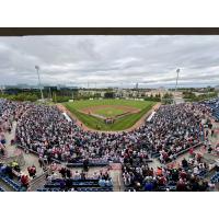 Ottawa Titans fans attend the 2025 home opener
