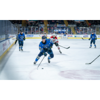 Springfield Thunderbirds defenseman Hunter Skinner