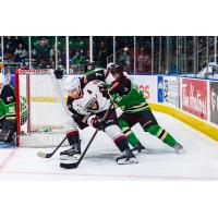 Vancouver Giants right wing Ty Halaburda battles behind the net
