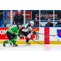 Vancouver Giants left wing Tobias Tomik (right) against the Prince Albert Raiders