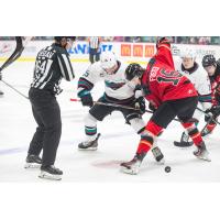 Kelowna Rockets face off with the Prince George Cougars