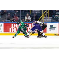 Florida Everblades face off with the Orlando Solar Bears