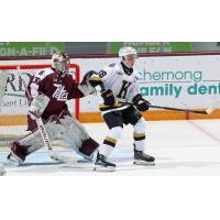 Peterborough Petes goaltender Easton Rye vs. the Kingston Frontenacs
