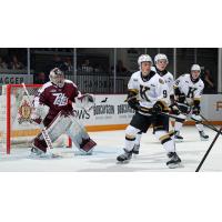Peterborough Petes goaltender Easton Rye vs. the Kingston Frontenacs