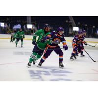 Florida Everblades forward Logan Will (left) vs. the Orlando Solar Bears