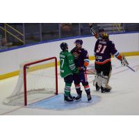 Florida Everblades make nice with the Orlando Solar Bears