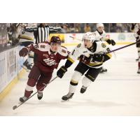 Peterborough Petes right wing Francis Parish (left) vs. the Kingston Frontenacs
