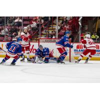 Kitchener Rangers goaltender Jason Schaubel vs. the Soo Greyhounds