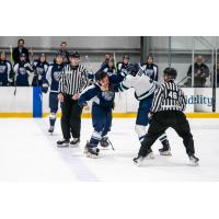 Worcester Railers and Maine Mariners fight in the preseason