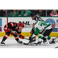 Grand Rapids Griffins' Amadeus Lombardi versus Texas Stars' Artem Shlaine
