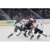 Vancouver Giants battle the Brandon Wheat Kings