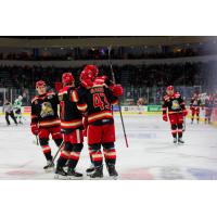 Grand Rapids Griffins on game night