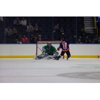 Florida Everblades' Cam Johnson versus Orlando Solar Bears' Reece Newkirk