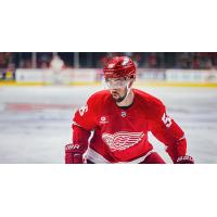 Defenseman Erik Gustafsson with the Detroit Red Wings