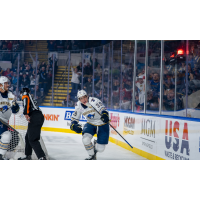 Springfield Thunderbirds right wing Matt Luff