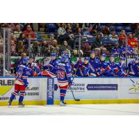 Kitchener Rangers exchange congratulations along the bench