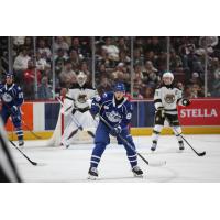 Syracuse Crunch left wing Nick Abruzzese