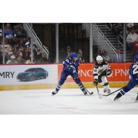 Syracuse Crunch forward Brendan Furry