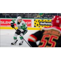 Texas Stars' Cross Hanas in action