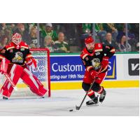 Grand Rapids Griffins' Michal Postava and Justin Holl on the ice