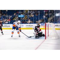 Belleville Senators goaltender Hunter Shepard vs. the Bridgeport Islanders