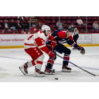 Saginaw Spirit defenseman Josh Glavin (right) vs. the Soo Greyhounds