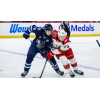 Grand Rapids Griffins left wing Alex Doucet (right) vs. the Manitoba Moose