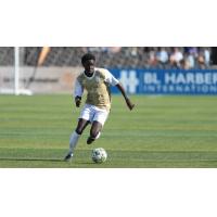 Birmingham Legion FC defender Ramiz Hamouda