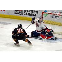 Goaltender Kelton Pyne with the Regina Pats