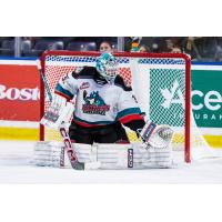 Kelowna Rockets goaltender Jake Pilon