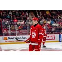 Forward Brady T. Smith with the Soo Greyhounds