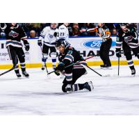 Kelowna Rockets centre Hayden Paupanekis