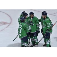 Florida Everblades exchange congratulations