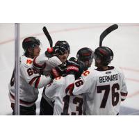 Rapid City Rush on game night