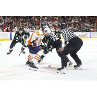 Greenville Swamp Rabbits' Jack Brackett battles Utah Grizzlies' Mick Messner