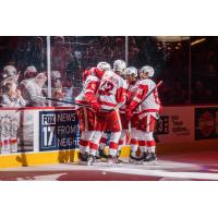 Grand Rapids Griffins on game night
