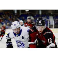 Wenatchee Wild's Zane Saab versus Vancouver Giant's Tobias Tomik
