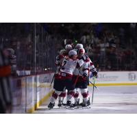 South Carolina Stingrays celebrate a goal