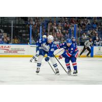 Syracuse Crunch left wing Cooper Flinton vs. the Rochester Americans