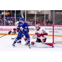 Toronto Marlies' Benoit-Olivier Groulx and Belleville Senators' Mads Søgaard on game night